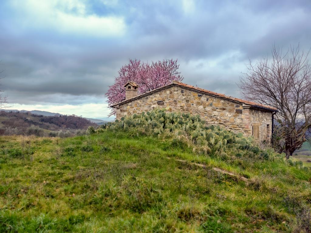 Agriturismo Le Canterie Radicondoli Extérieur photo