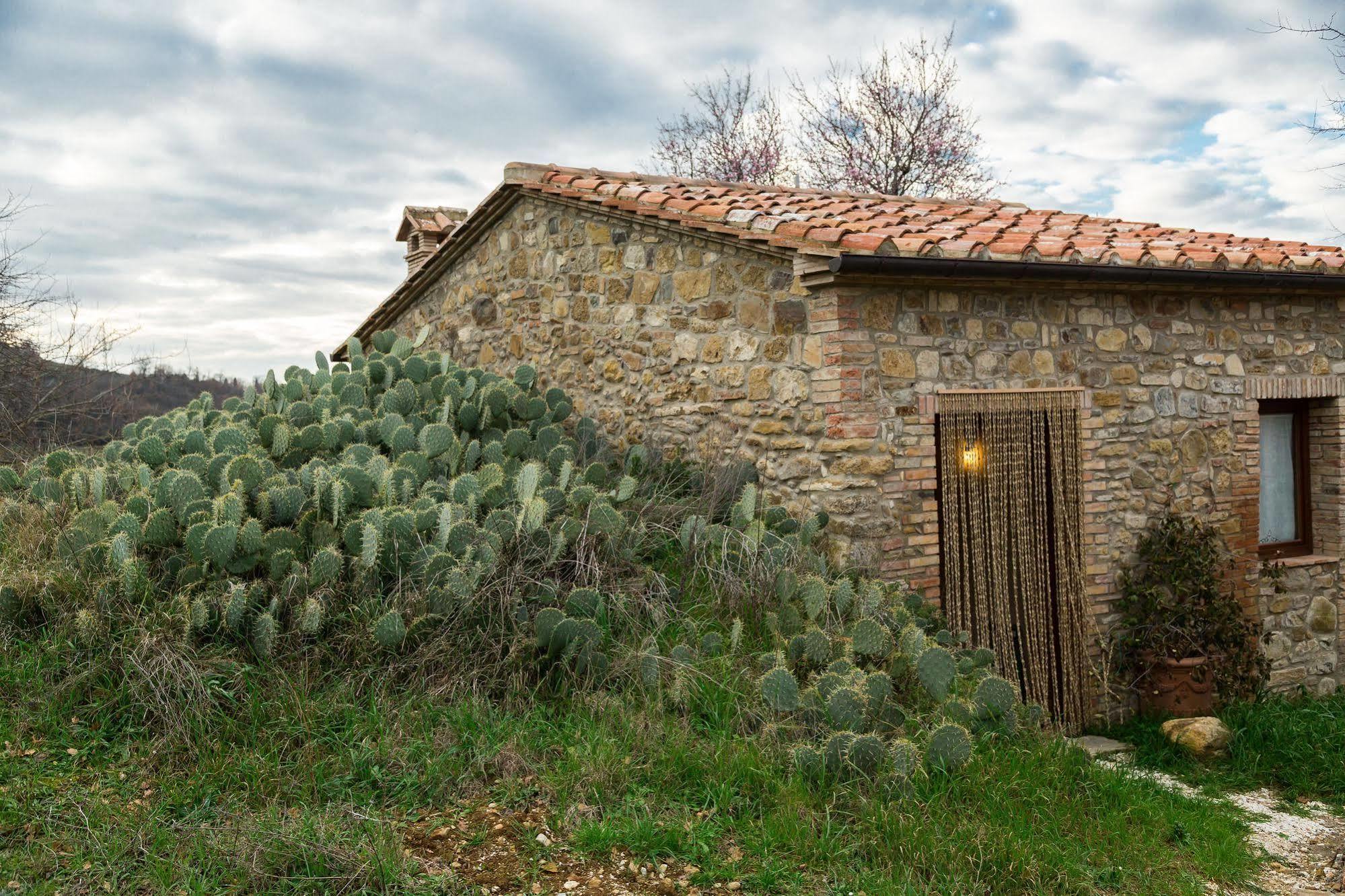 Agriturismo Le Canterie Radicondoli Extérieur photo